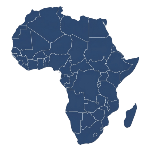 ngo africa (1)
